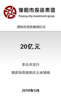 濮阳市投资集团公司20亿元非公开发行2019年公司债券（第一期）