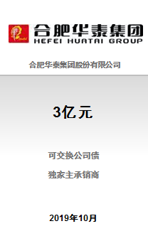 合肥华泰集团股份有限公司3亿元2019年非公开发行可交换公司债券成功完成发行