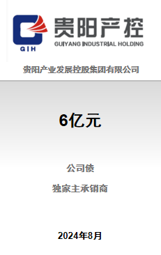 贵阳产控