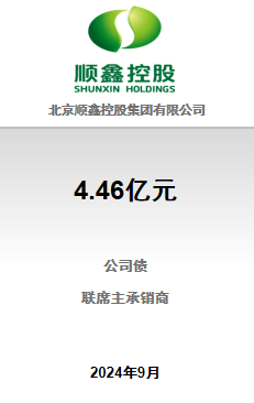 顺鑫控股